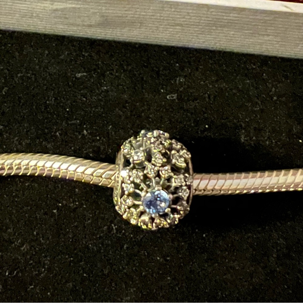 Disney Parks Pandora Charm